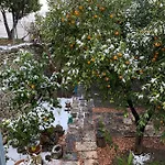 Dimora Le Zagare 아파트 오스투니