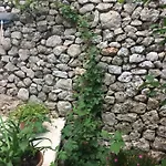 Dimora Le Zagare Appartement