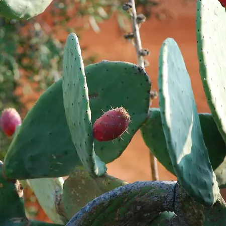 Dimora Le Zagare * Ostuni