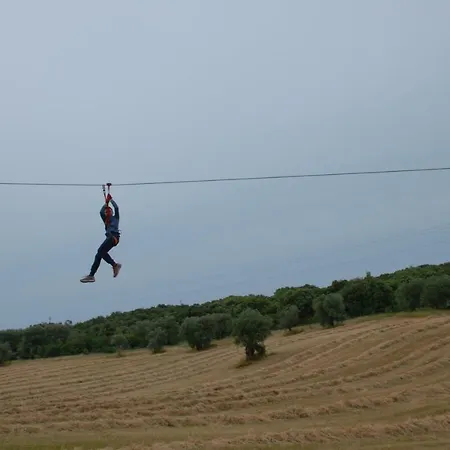 Apartment Dimora Le Zagare *