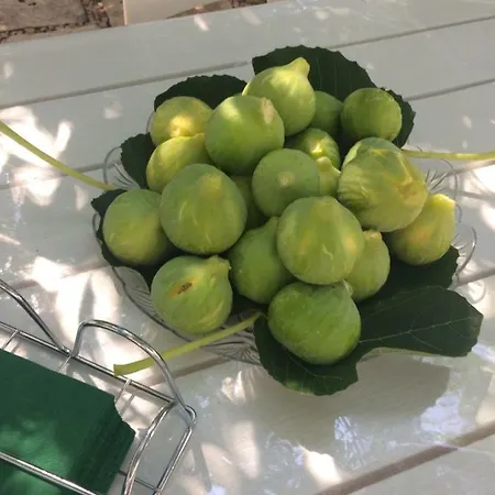 Apartment Dimora Le Zagare *