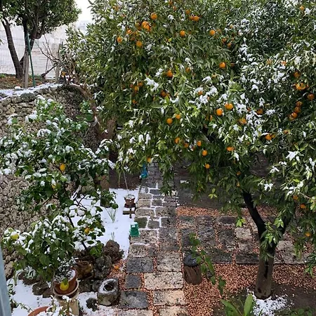 Dimora Le Zagare Διαμέρισμα Ostuni