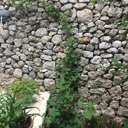 Dimora Le Zagare Apartment