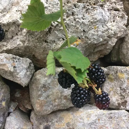 Dimora Le Zagare Apartment *