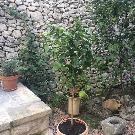 Dimora Le Zagare Ostuni