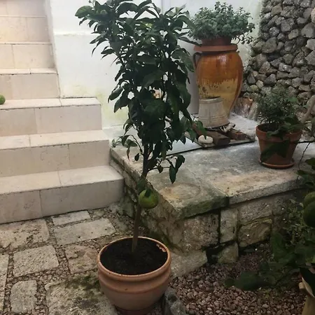 Διαμέρισμα Dimora Le Zagare Ostuni