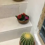 Appartamento Dimora Le Zagare