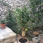 Dimora Le Zagare Ostuni