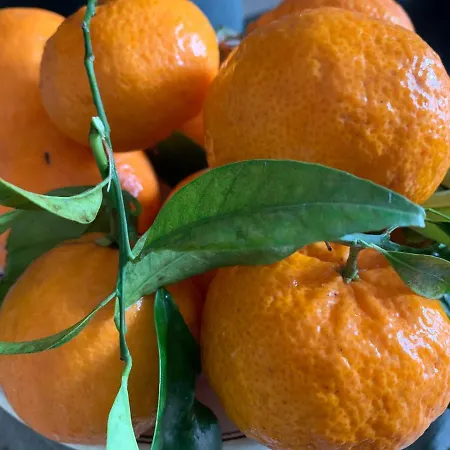 Dimora Le Zagare * Ostuni