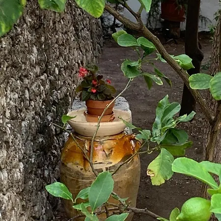 Dimora Le Zagare Apartment