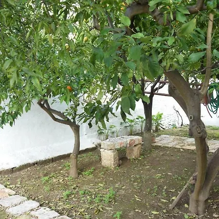 Dimora Le Zagare Apartment *