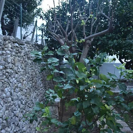 דירה Dimora Le Zagare