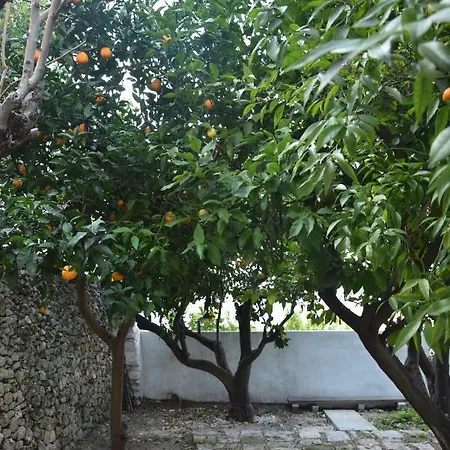 Dimora Le Zagare אוסטוני