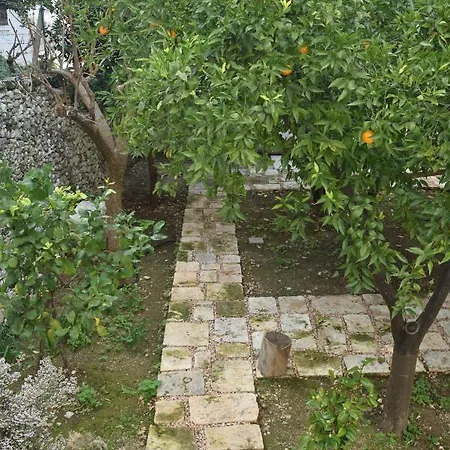 דירה Dimora Le Zagare אוסטוני