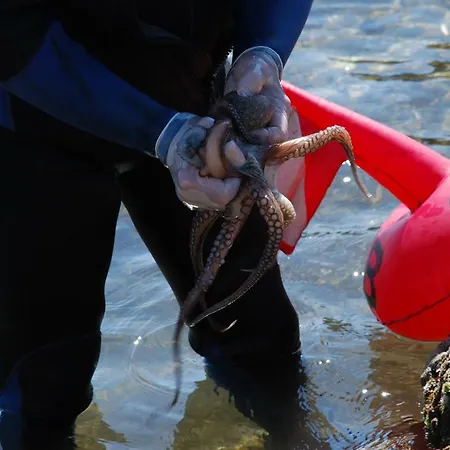 Apartment Dimora Le Zagare