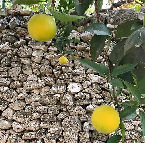 Dimora Le Zagare Appartamento Ostuni