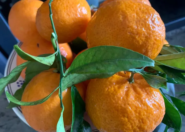 Dimora Le Zagare * Ostuni