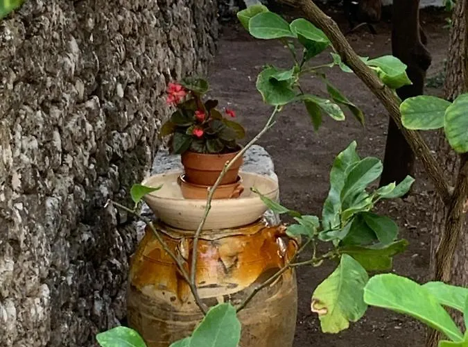 Dimora Le Zagare Appartamento