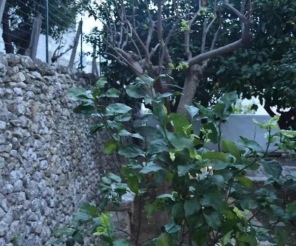 Appartamento Dimora Le Zagare