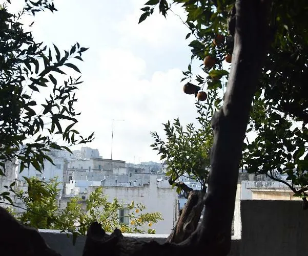 Dimora Le Zagare Appartamento *