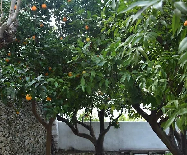 Dimora Le Zagare Ostuni