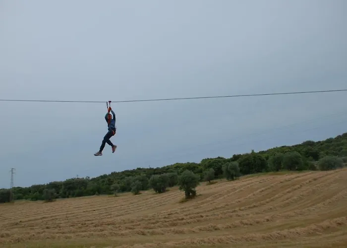 Appartamento Dimora Le Zagare *