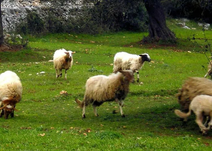 Dimora Le Zagare Appartamento Ostuni