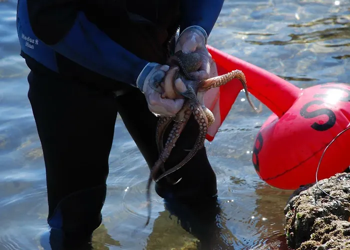 Appartamento Dimora Le Zagare