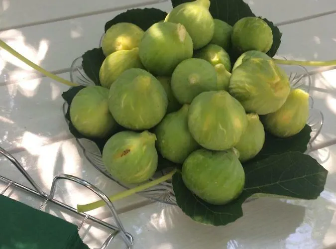 Appartamento Dimora Le Zagare *