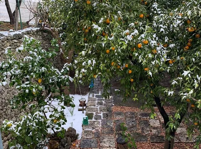 Dimora Le Zagare Appartamento Ostuni