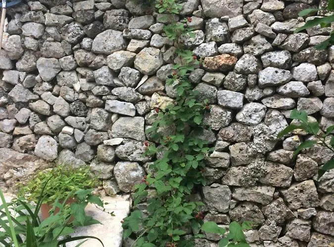 Dimora Le Zagare Appartamento