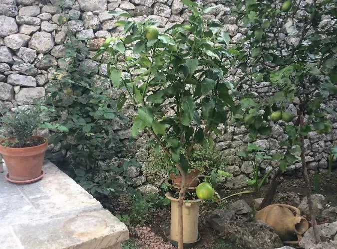 Dimora Le Zagare Ostuni